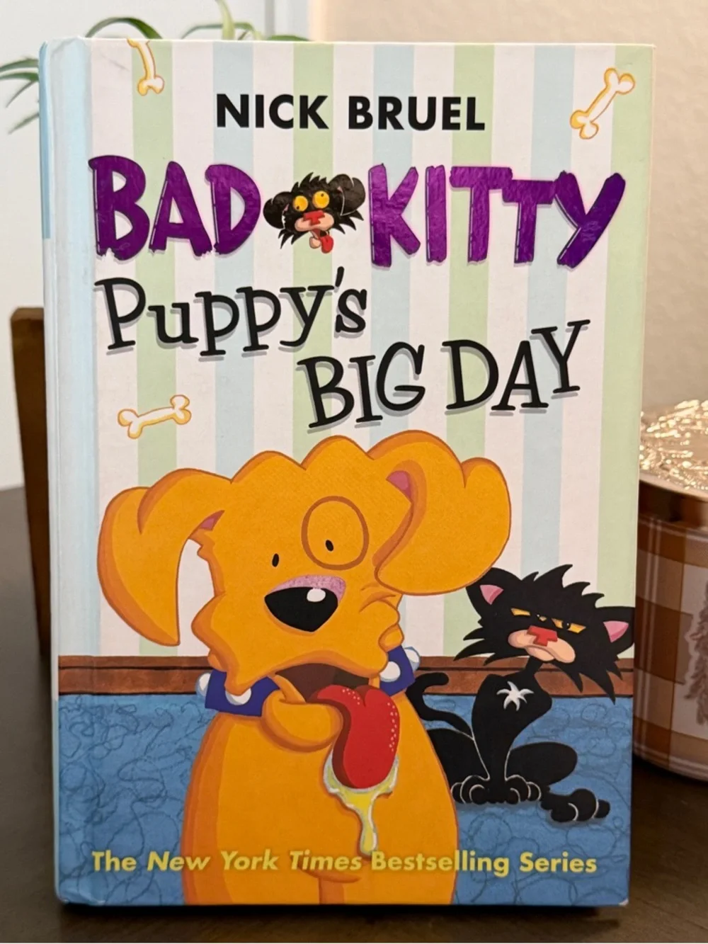 Bad Kitty Puppy’s Big Day Children’s Book